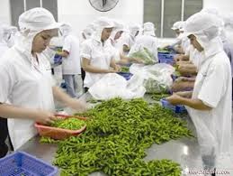 Doper les exportations des produits alimentaires vietnamiens en Europe - ảnh 1